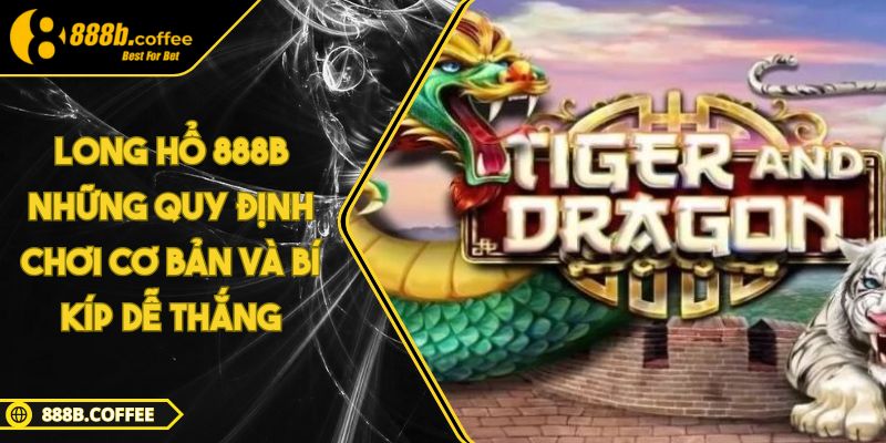 Long Hổ 888B Những Quy Định Chơi Cơ Bản Và Bí Kíp Dễ Thắng 5 Long Hổ 888B Những Quy Định Chơi Cơ Bản Và Bí Kíp Dễ Thắng